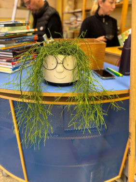 Neue Schulbibliothek